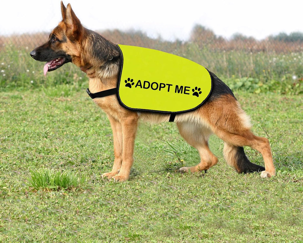 Zuo Bao double sided adoption apparel showing the water repellent composite cloth texture