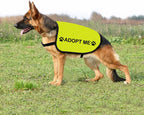 Zuo Bao double sided adoption apparel showing the water repellent composite cloth texture