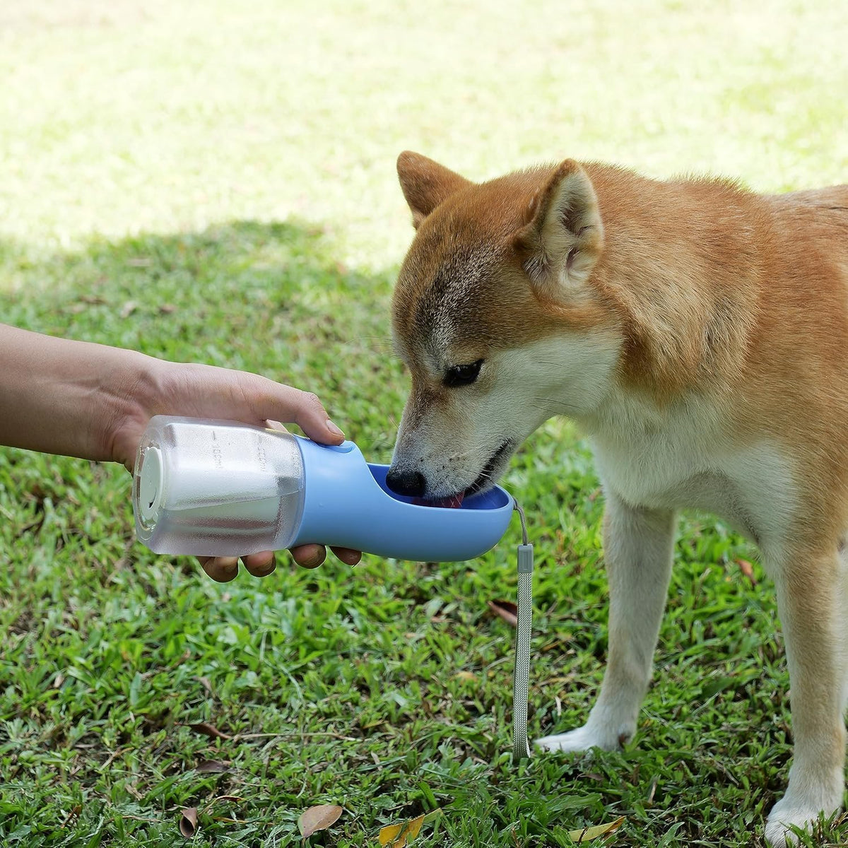 Avelora puppy water bottle disassembled to highlight the BPA-free food grade components.