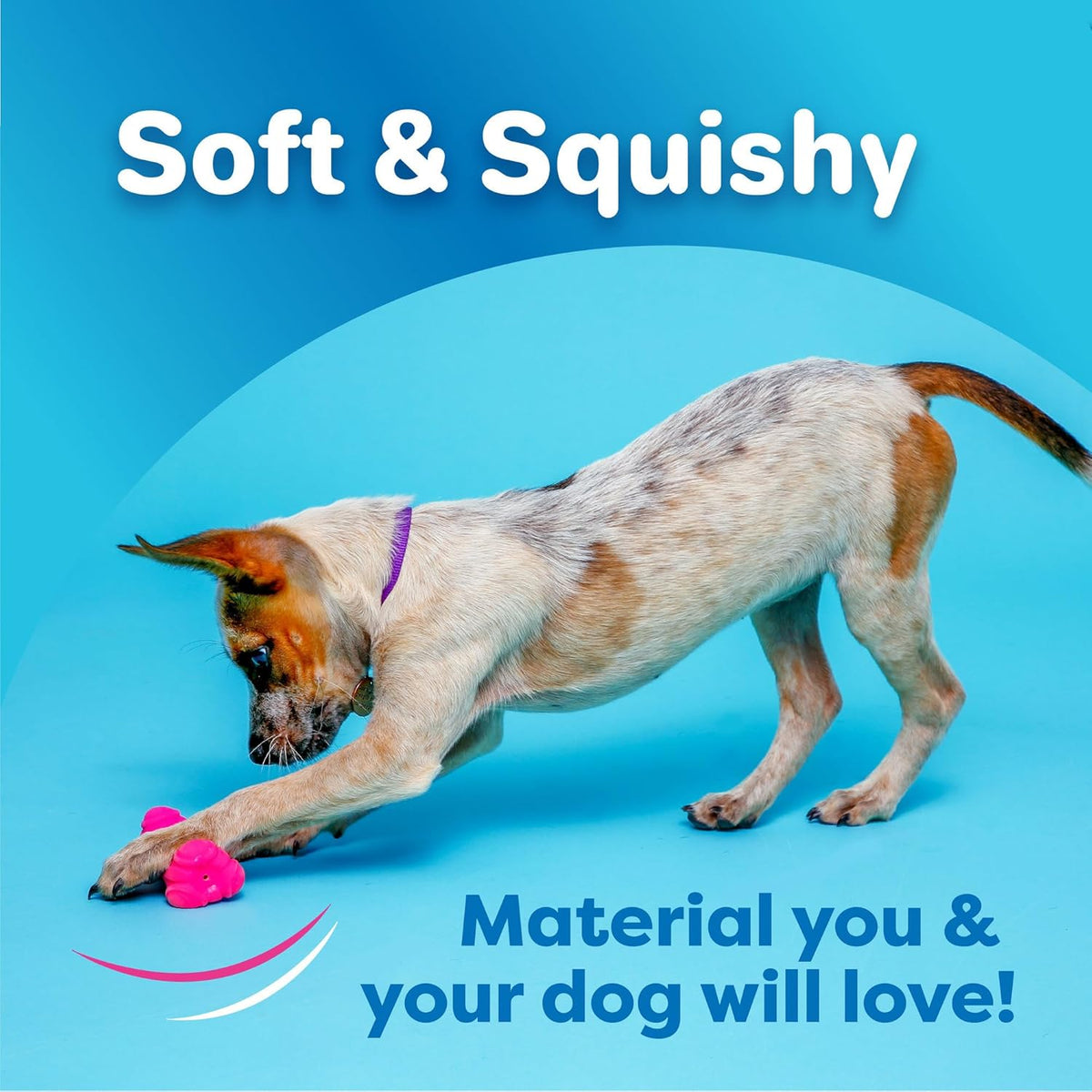 Medium breed dog playing with a pink flexible latex squeaky bone toy outdoors.