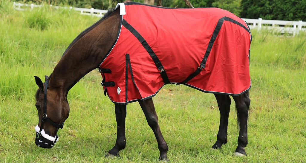Close-up view of the adjustable elastic leg straps on the horse sheet.