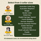 SpotOn premium satellite dog fence collar close up of contact points