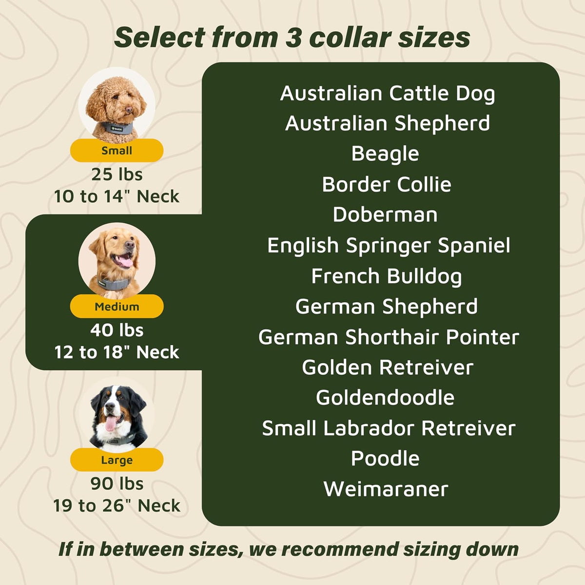 SpotOn premium satellite dog fence collar close up of contact points