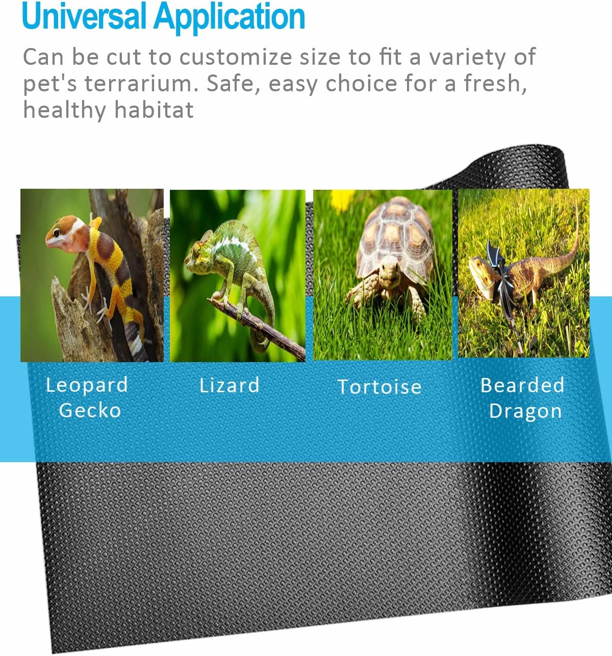 Duedusto washable reptile mat being cleaned with water