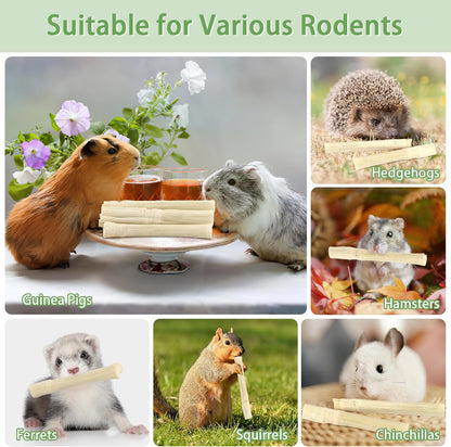 Healthy small rodent teething sticks rich in natural fiber and vitamins