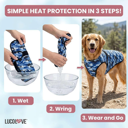 Dog enjoying summer walk wearing pink Lucolove cooling vest