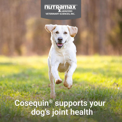 Nutramax Laboratories Cosequin dog joint health soft chew close up