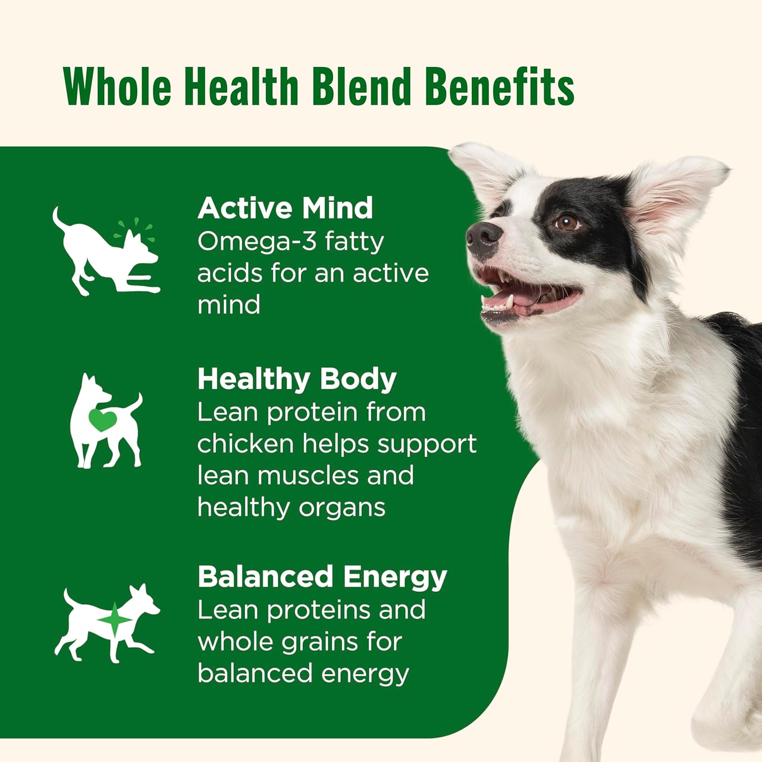 Nutrish wholesome whole health blend twelve count thirteen ounce dog food cans