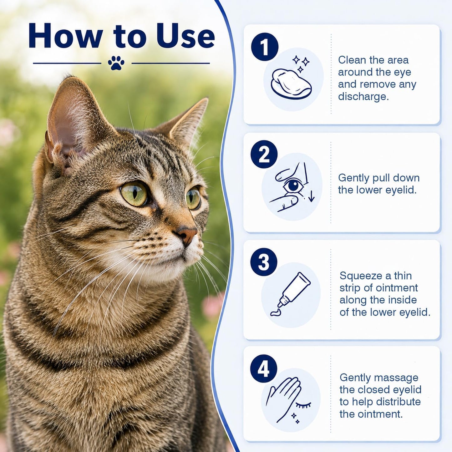 Authentic imported animal eye ointment for multi pet hydration