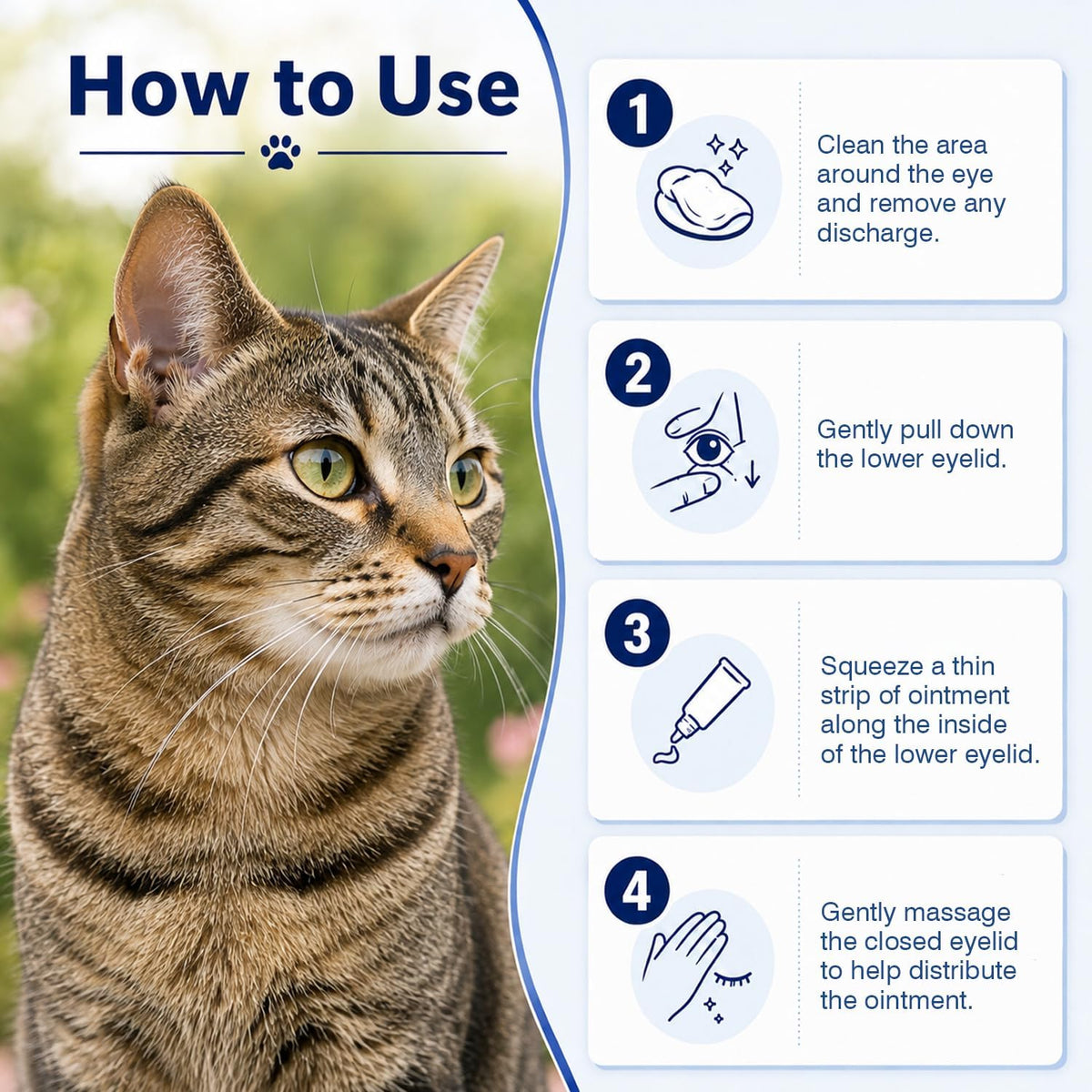 Authentic imported animal eye ointment for multi pet hydration