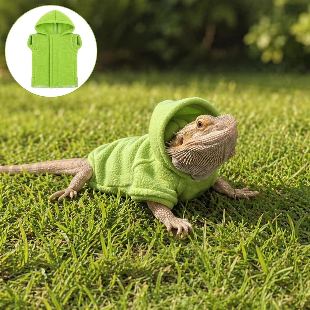 Husoiuy mint green reptile outfit on a bearded dragon model
