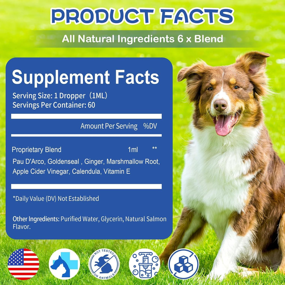Herlosfeel anti-inflammatory supplement drops for puppy allergy management.