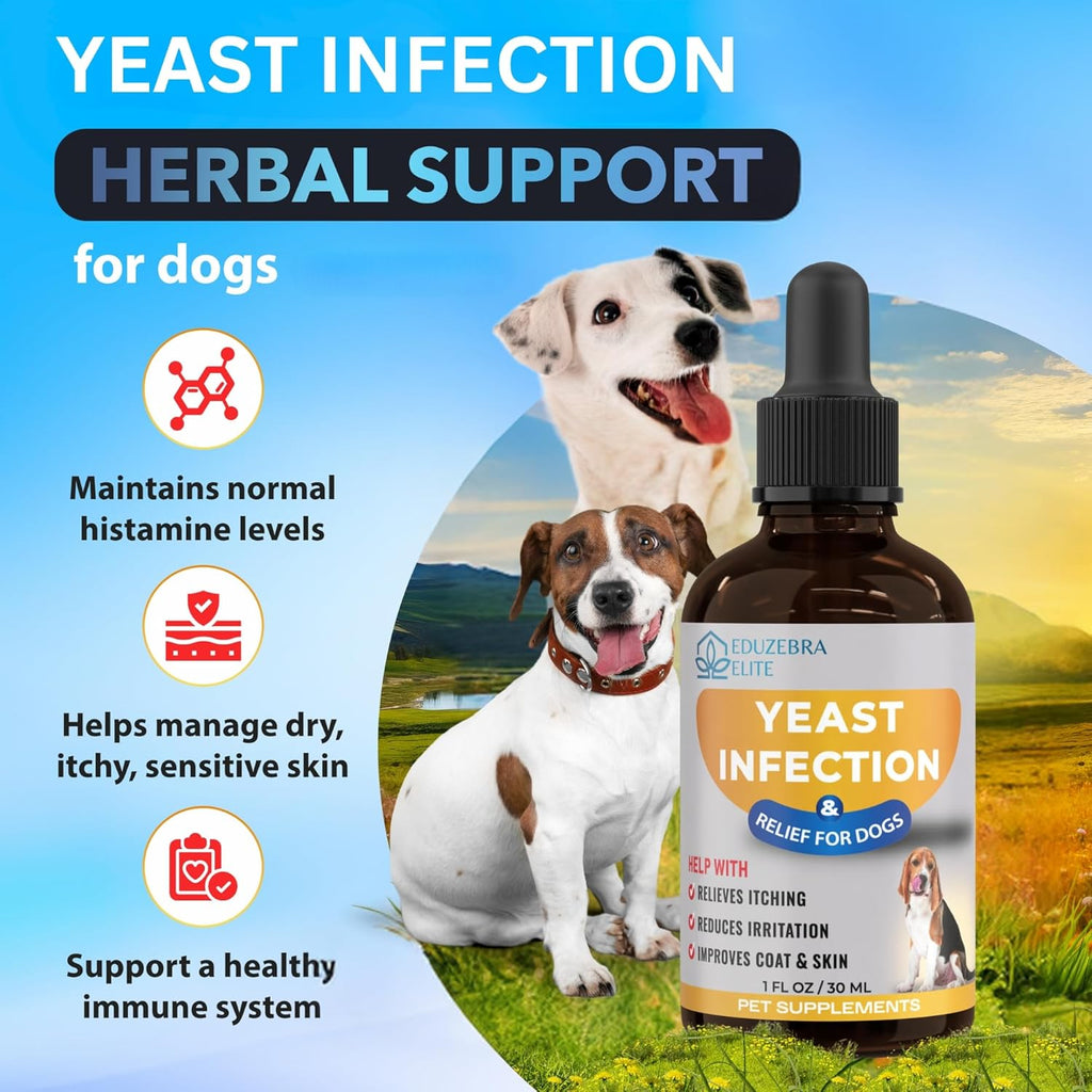 Natural herbal tincture for canine ear infections and skin irritation reduction