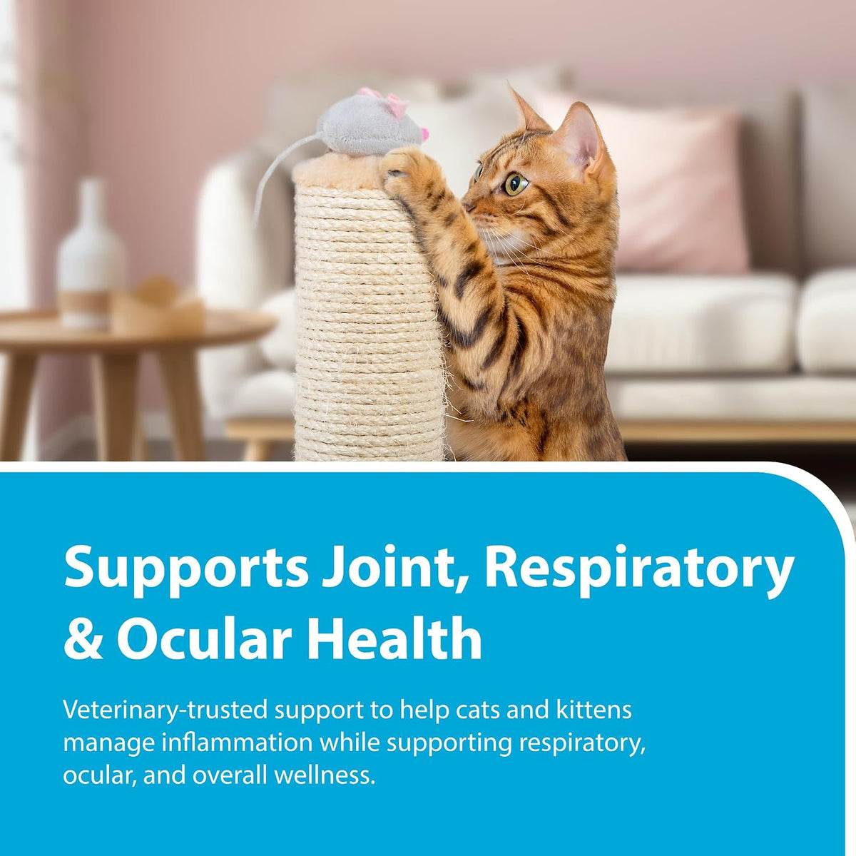 Duralactin Feline dial-a-dose syringe mechanism for precise cat supplement administration.