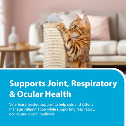 Duralactin Feline dial-a-dose syringe mechanism for precise cat supplement administration.