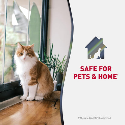 Enzymatic pet carpet cleaner spray by Nature's Miracle to prevent repeat cat marking.