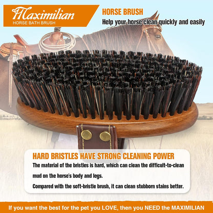 Hand holding Maximilian horse brush showing leather grip