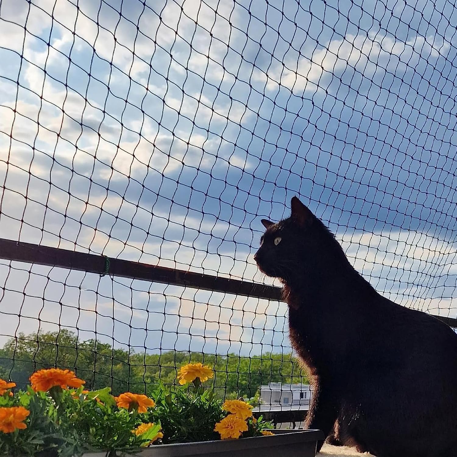 Balcony Netting for Cats, Wire-Reinforced Cat Net, Bite and Tear-Resistant, UV and Weather-Resistant, Balcony Cat Anti-Fall Netting for Pets (10x3m-black) - Image 9