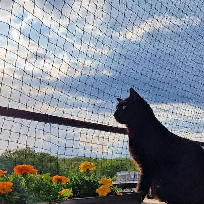 Balcony Netting for Cats, Wire-Reinforced Cat Net, Bite and Tear-Resistant, UV and Weather-Resistant, Balcony Cat Anti-Fall Netting for Pets (10x3m-black) - Image 9
