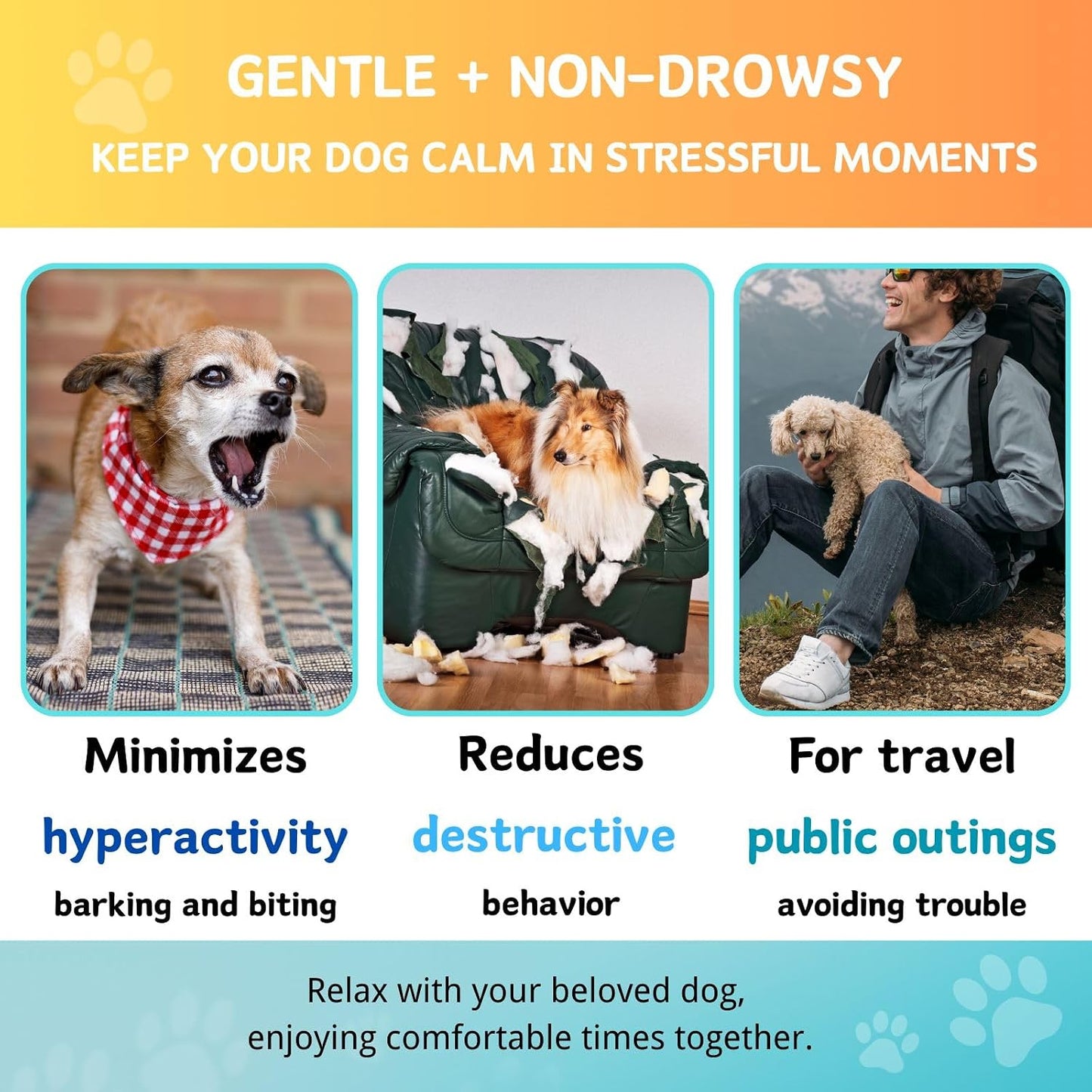 Carmelie advanced anxiety relief soft chews for dogs daily supplement dosage label