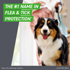 Topical spot on flea treatment for medium dogs weighing 23 to 44 pounds