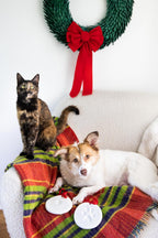 Pearhead Pawprints 2-Pack Christmas Ornament - Image 4