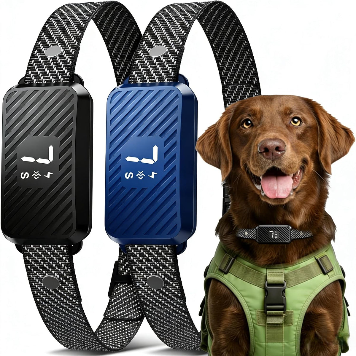 KJKZO bark collar worn by a dog for size reference