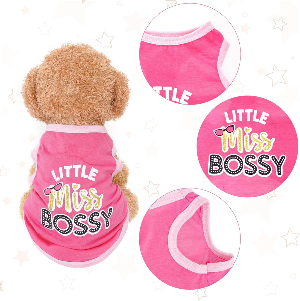 Small dog wearing Pistha printed summer puppy vest