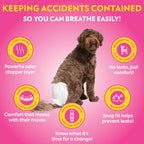 Side view of OUT! PetCare medium to large disposable dog diapers showing fur-friendly fasteners.
