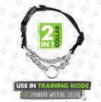 Reflective nylon dog collar with bright grey stitching for night walking visibility.