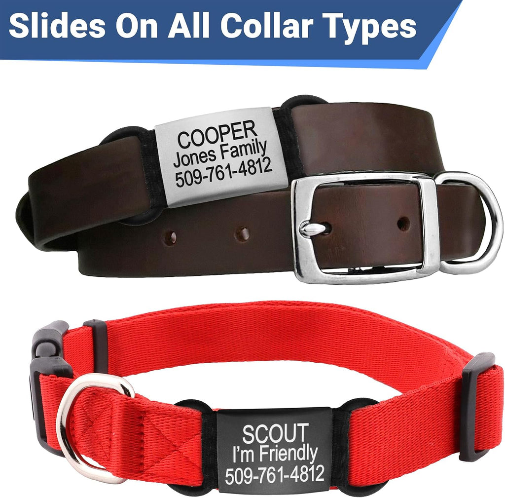 GoTags surgical grade stainless steel noise free pet tag dimensional view