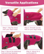 Side profile of medium dog in purple anxiety vest