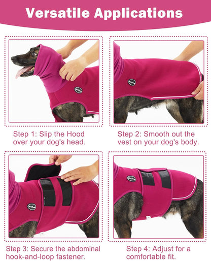 Side profile of medium dog in purple anxiety vest