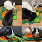 Machine washable small pet foraging pad after being cleaned and air dried