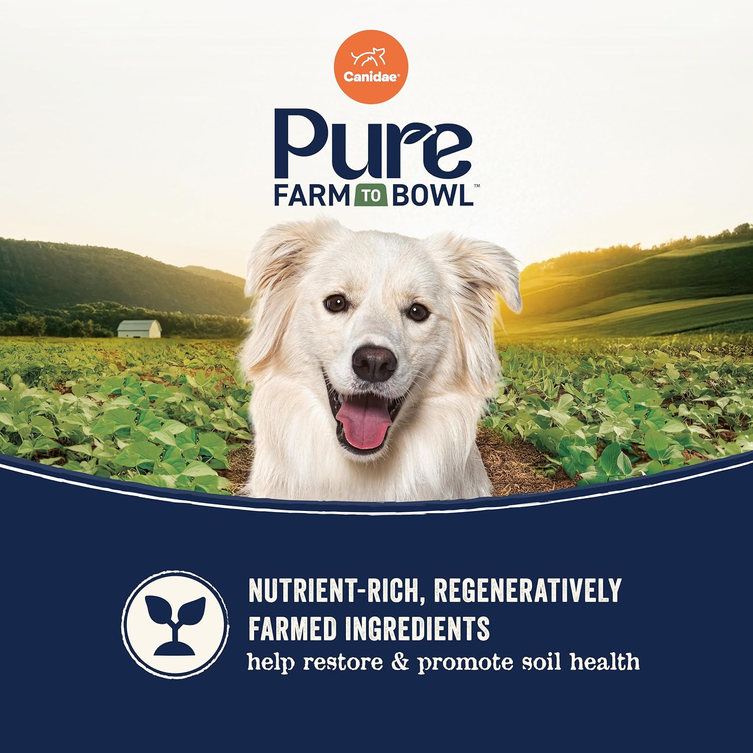 Canidae limited ingredient grain inclusive sensitive stomach formula back packaging information