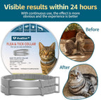 Cat wearing VivaElixir plant-based flea and tick collar