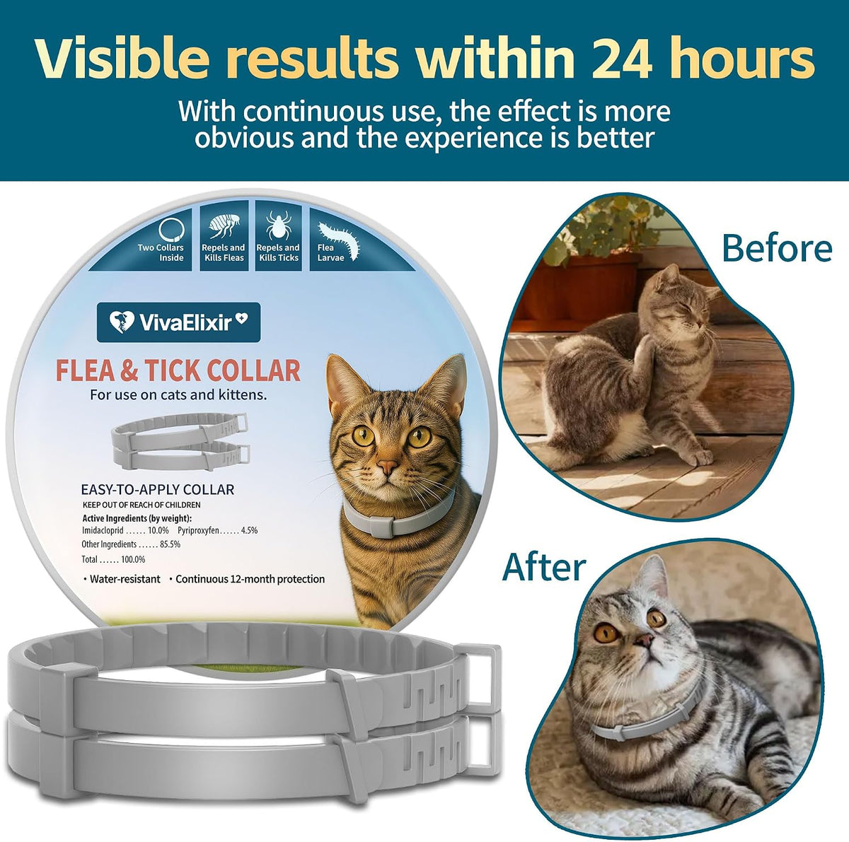 Cat wearing VivaElixir plant-based flea and tick collar