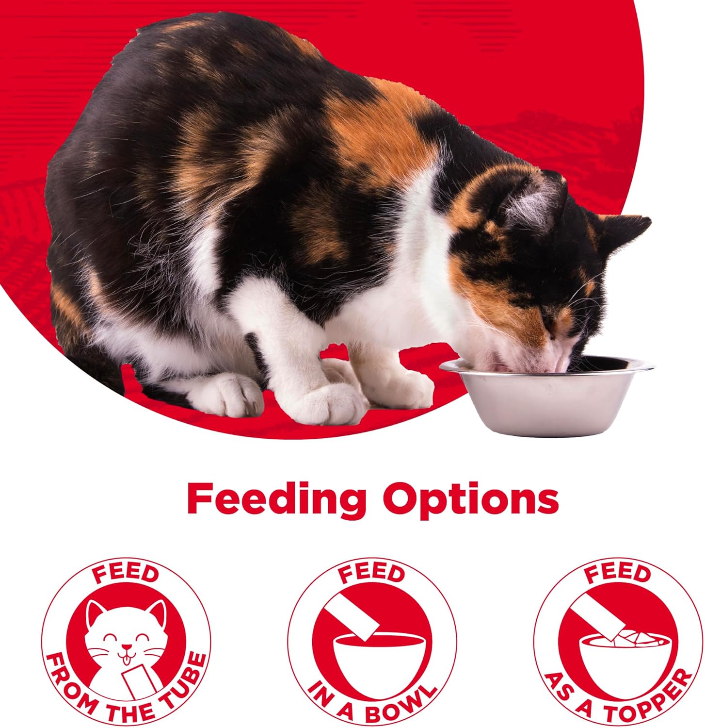 Hand feeding cat with Country Kitchen lickable treat