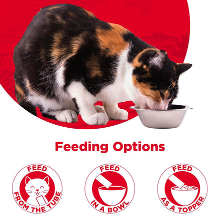 Hand feeding cat with Country Kitchen lickable treat
