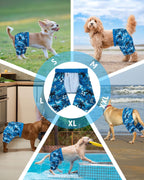 CuteBone ultraviolet protection dog trunks back view fit