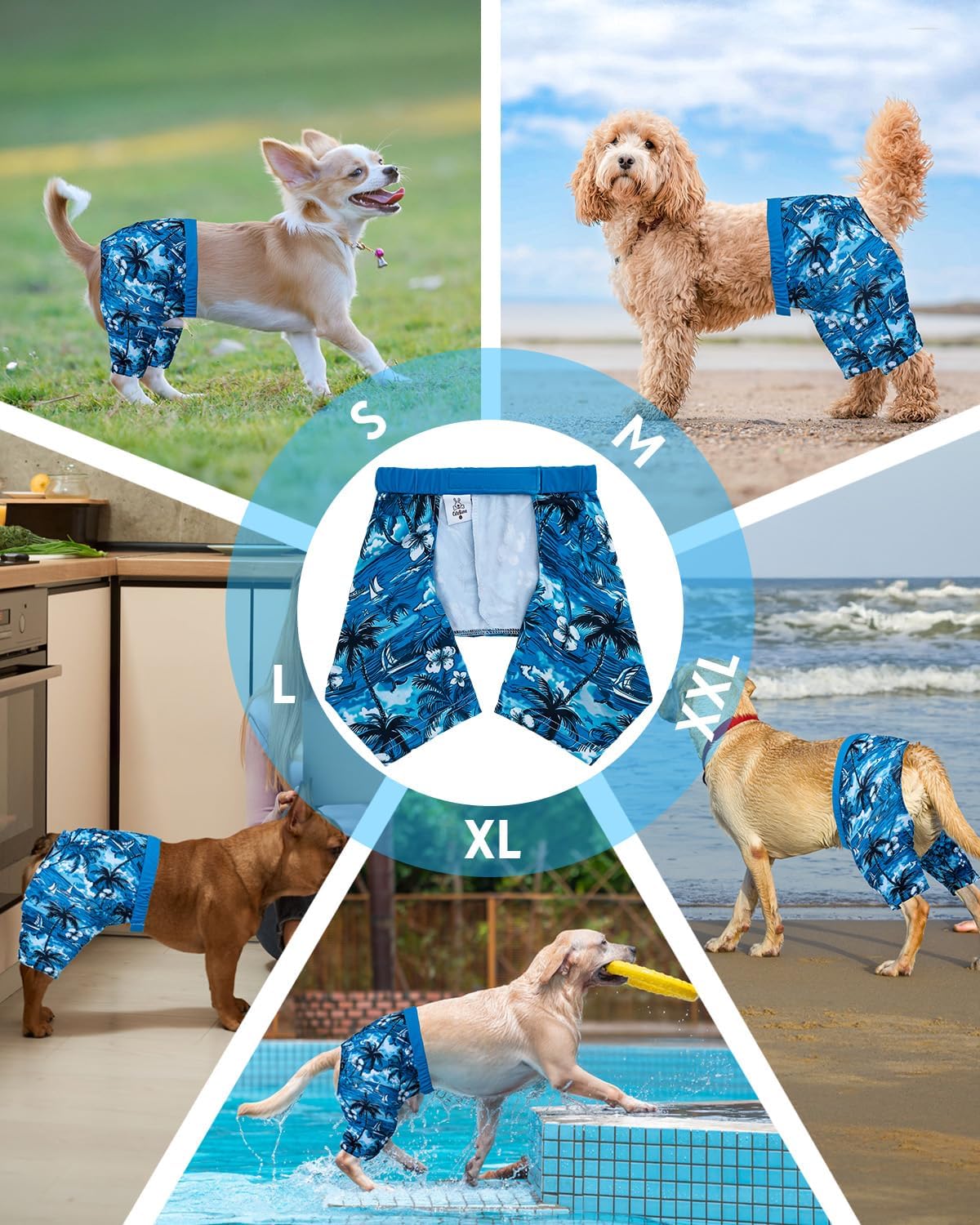 CuteBone ultraviolet protection dog trunks back view fit