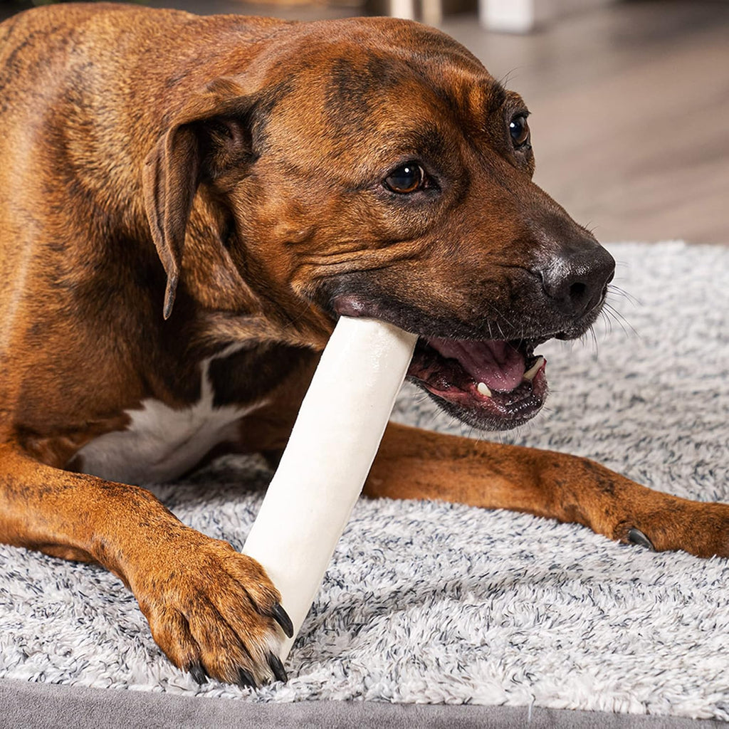 Pet Factory assorted rawhide bones and rolls for medium and large dogs