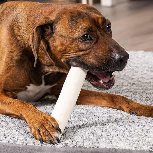 Pet Factory assorted rawhide bones and rolls for medium and large dogs