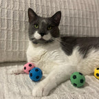 SPOT Sponge Soccer Ball Cat Toys for Cats and Kittens - Interactive and Colorful Plush Toy, Fun to Bat and Chase, Keep Cats Entertained - 1.5" Assorted 4-Pack - Image 9