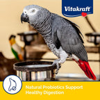 Vitakraft Menu Parrot Food 5 lb. - Image 5