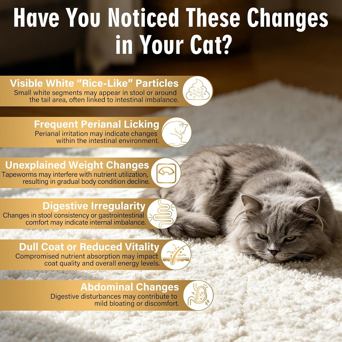 BiKontrun cat dewormer packaging showing usage instructions and dosage guidelines