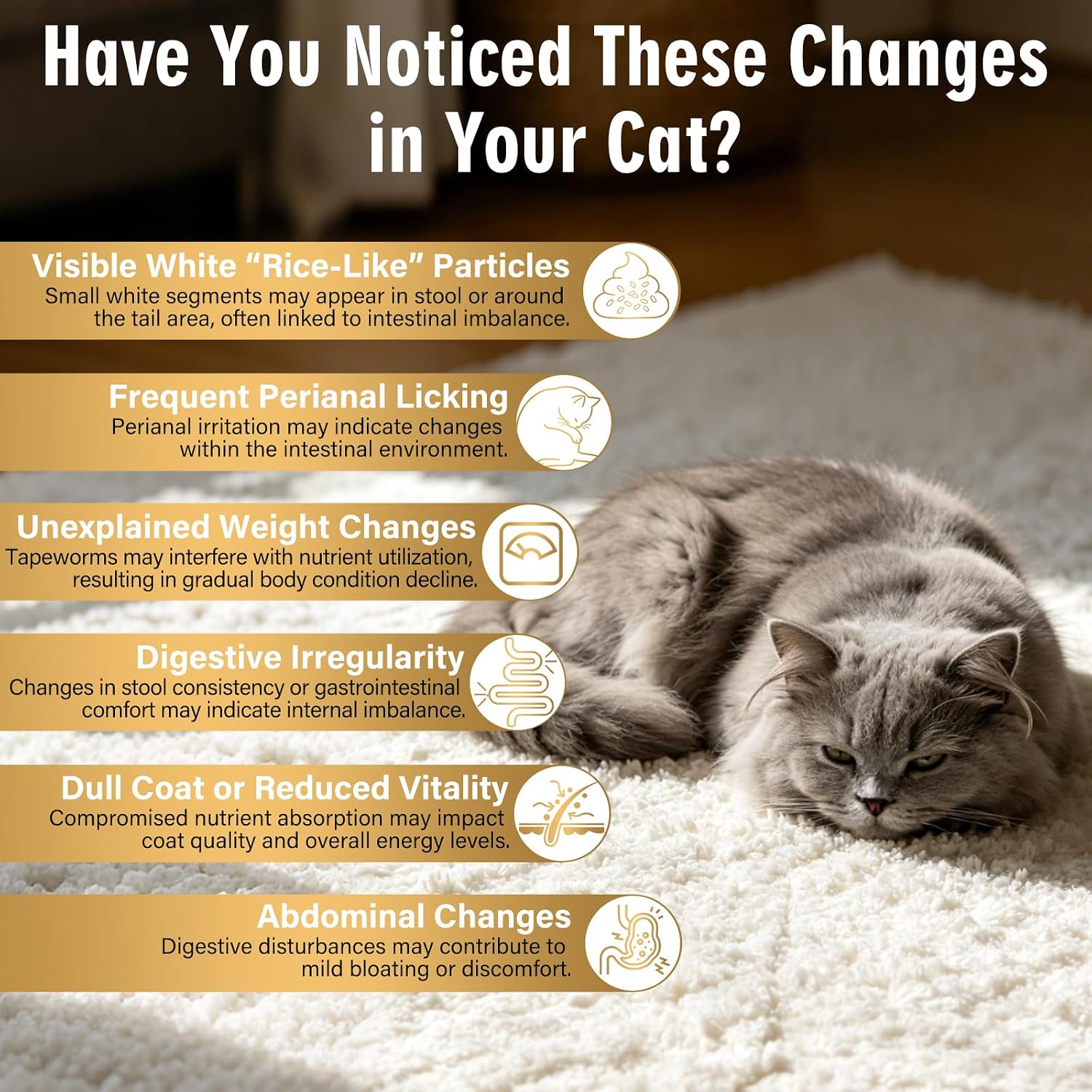 BiKontrun cat dewormer packaging showing usage instructions and dosage guidelines
