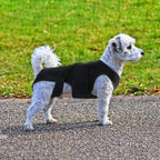 LETSQK veterinary support harness packaged authentic USA import version
