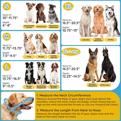Foldable soft pet cone adjusted for mealtime comfort