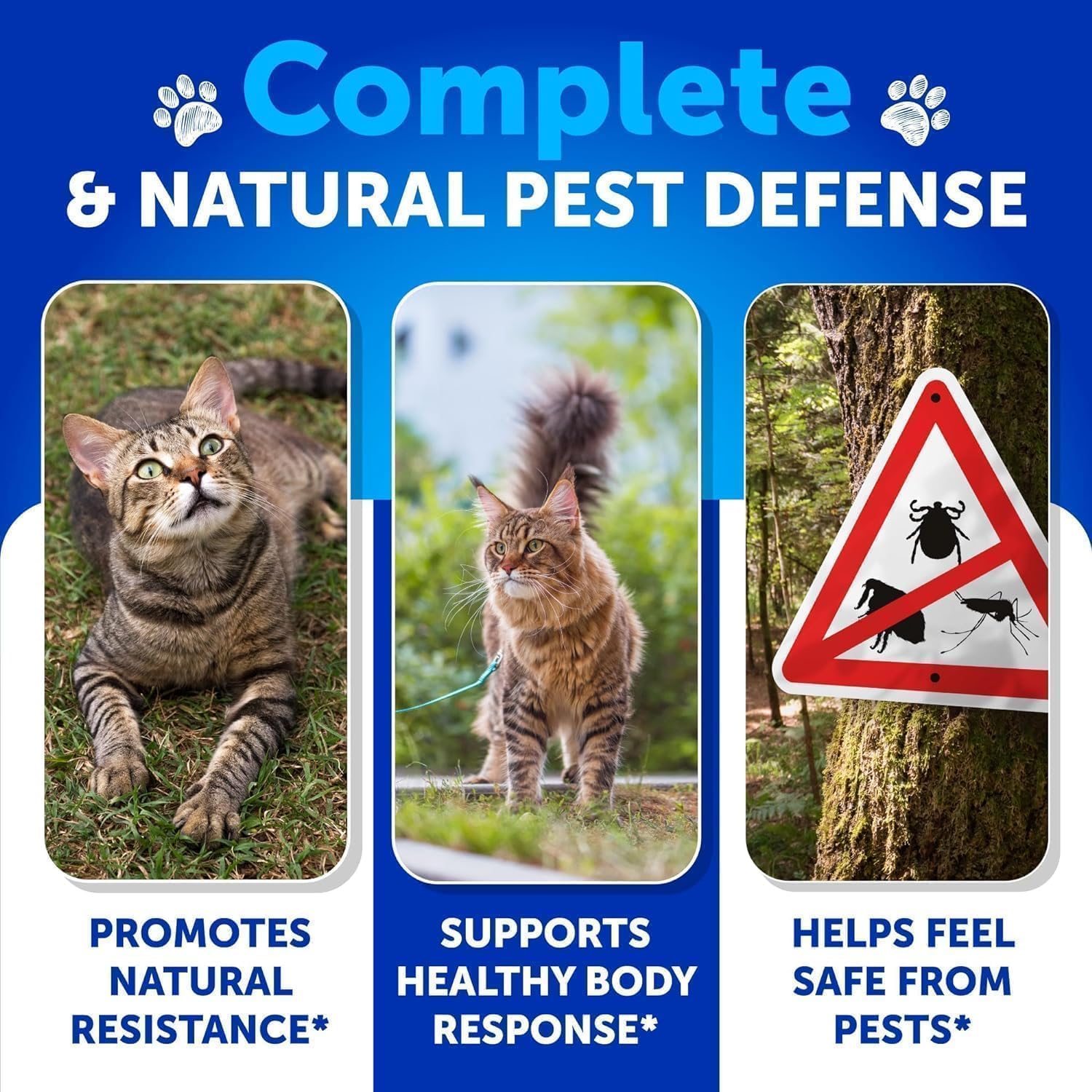 Close up of Artullano cat flea defense chewable supplement 135 count